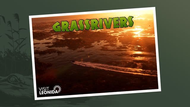 Alligator key art
